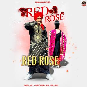 RED ROSE BABBU CHANDER