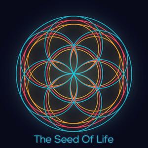 The Seed Of Life