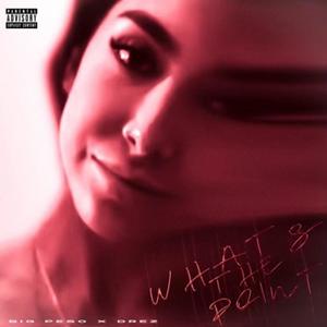 What's The Point(feat. Drez) (Explicit)