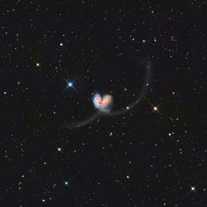 日月星辉之中，你是第四种难得