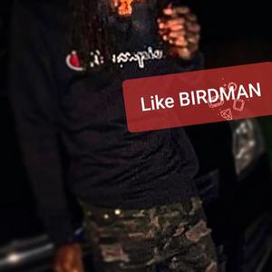 Like bird (Explicit)