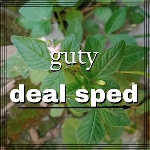 Guty - deal farm go sped god (Explicit)