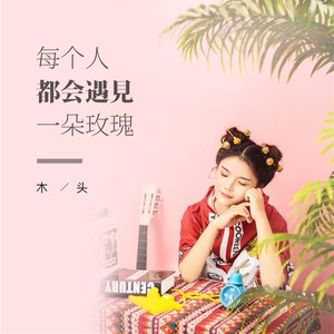 每个人都会遇见一朵玫瑰