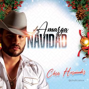 Amarga Navidad