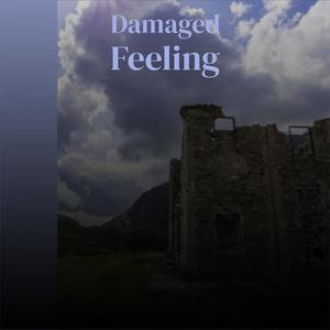 Damaged Feeling