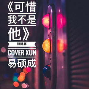 可惜我不是他封面