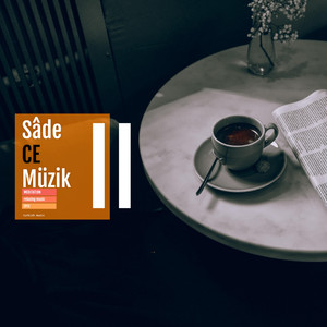 Sadece Müzik 2