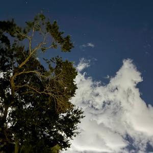 thinking of you again