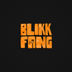 Blikkfang 2022