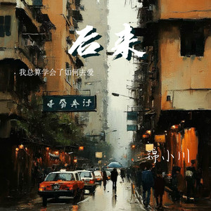 后来（我总算学会了如何去爱）