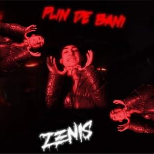 PLIN DE BANI (feat. Zenis) [Explicit]