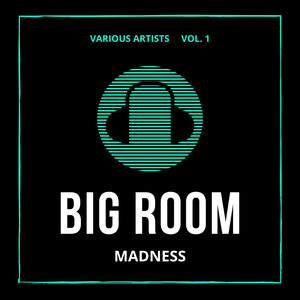 Big Room Madness, Vol. 1