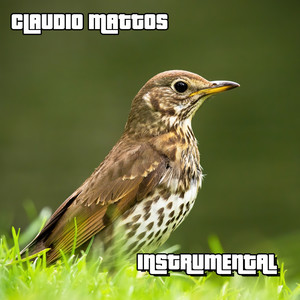 Instrumental