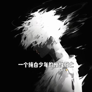 一个纯白少年的慢性死亡