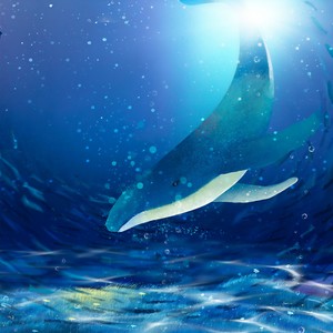 海底 (好听浪漫版)