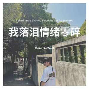 我落泪情绪零碎