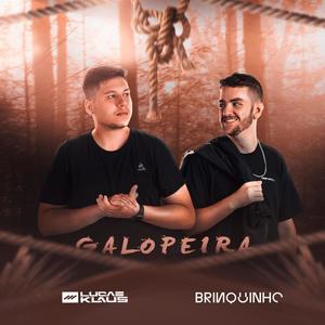 MEGA FUNK GALOPEIRA (feat. DJ BRINQUINHO SC)