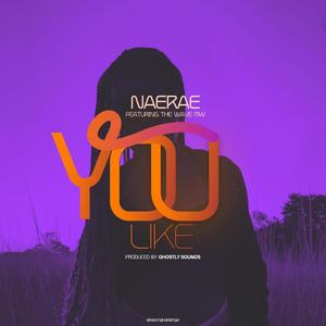 You like(feat. The Wave MW) (Explicit)