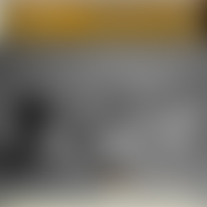 Stole The Show (Western Country Chill Mix)