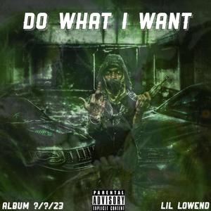 Do what i want (Explicit)