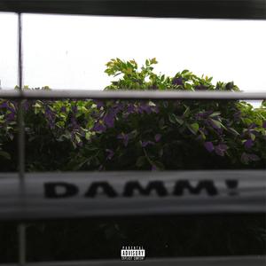 DAMNN! (feat. Toans) [Explicit]