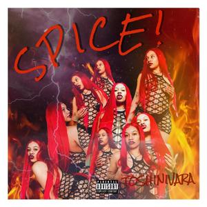 SPICE! (Explicit)