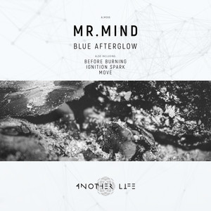Mr.Mind - Before Burninig