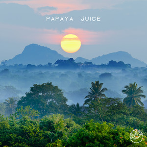 Odd Panda - Papaya Juice