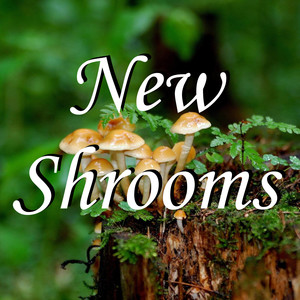 New Shrooms