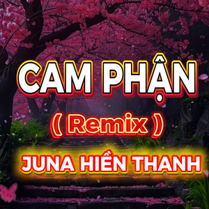 Cam Phận (Duck Remix)