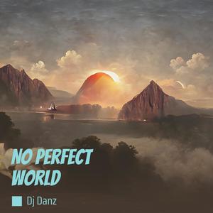 No perfect world (Remastered 2024)