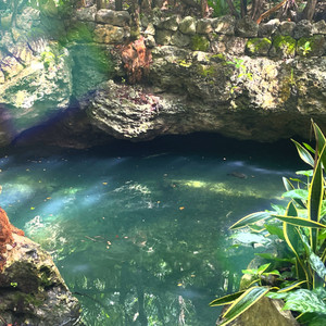 TWRS - Overcome (TWRS Theme)