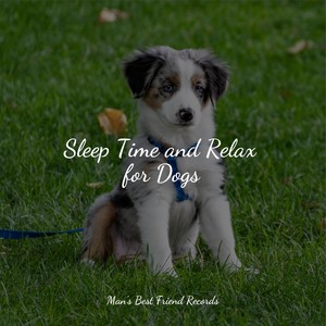 Sleep Time and Relax for Dogs