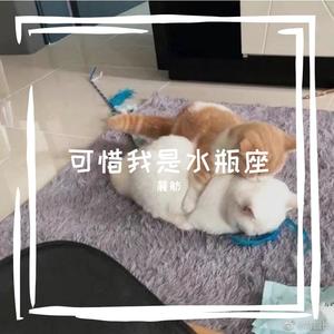 可惜我是水瓶座 (片段版)