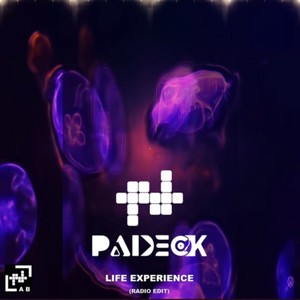 Life Experience (Radio Edit)