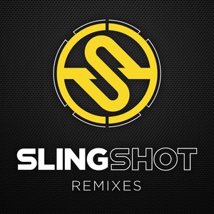 Trashed In Public (Ross Homson Remix)