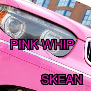 Pink Whip (Explicit)