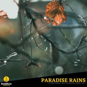 Paradise Rains - Nature Sounds from Thundering Forest, Vol. 1