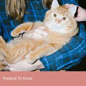 Pretend to Know