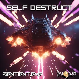 SELF DESTRUCT