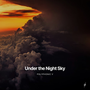 Under the Night Sky