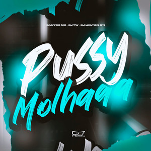 Santos mc - Pussy Molhada (Explicit)