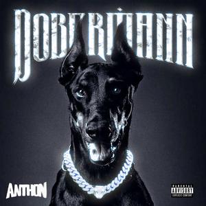 DOBERMANN (feat. RYDY) [Explicit]