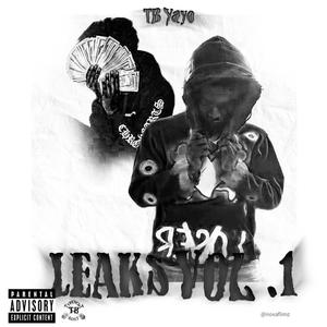 LEAKS, Vol. 1 (Explicit)