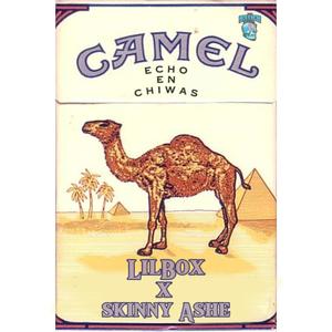 Camel (feat. Skinny Ashe) (Explicit)