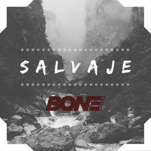 Salvaje