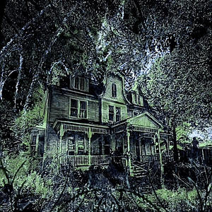 MAYNARD (feat. DollboyXO) (Explicit)