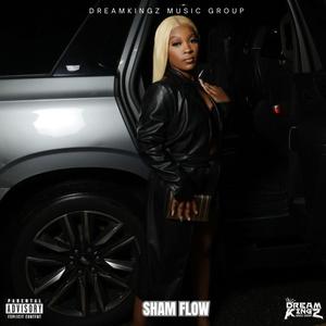 Sham Flow (Explicit)