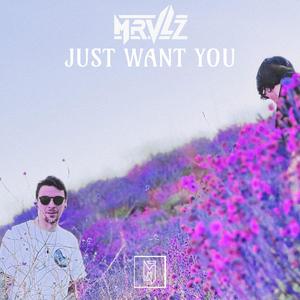 Just Want You