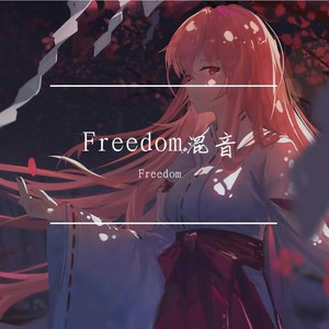 Light It Up (DJ Freedom版)封面